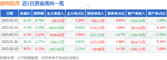 股票行情快報(bào)：鵬輝能源（300438）2月25日主力資金凈買入198.35萬元