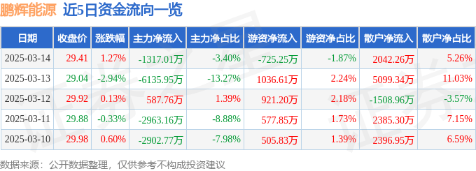 股票行情快報：鵬輝能源（300438）3月14日主力資金凈賣出1317.01萬元