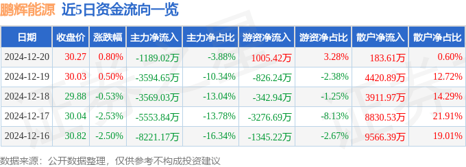 股票行情快報(bào)：鵬輝能源（300438）12月20日主力資金凈賣出1189.02萬元