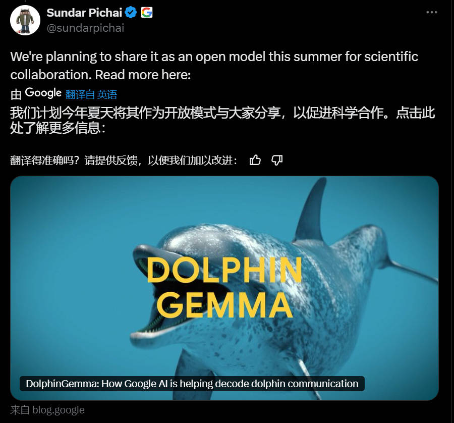 谷歌基于Gemma打造海豚專屬模型，用4億參數(shù)“解鎖”海豚聲音秘密