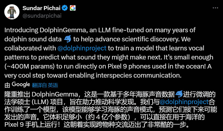 谷歌基于Gemma打造海豚專屬模型，用4億參數(shù)“解鎖”海豚聲音秘密