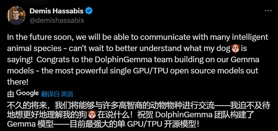 谷歌基于Gemma打造海豚專屬模型，用4億參數(shù)“解鎖”海豚聲音秘密