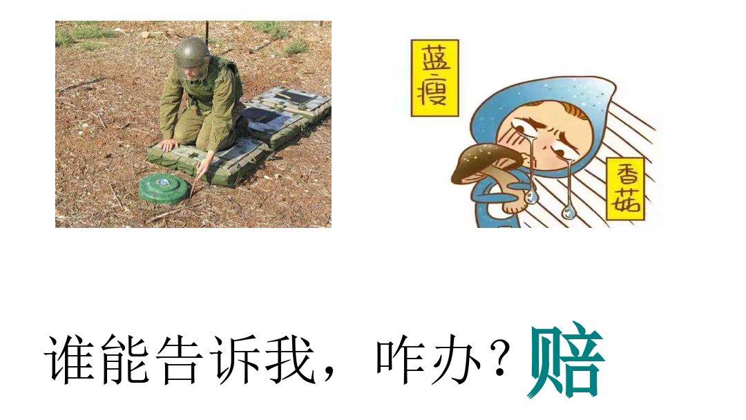 美爾雅及實控人信披違規(guī)被立案調(diào)查，股票維權(quán)已啟動