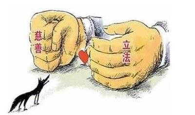 接手轉(zhuǎn)讓的基金會，和正?；饡猩秴^(qū)別？
