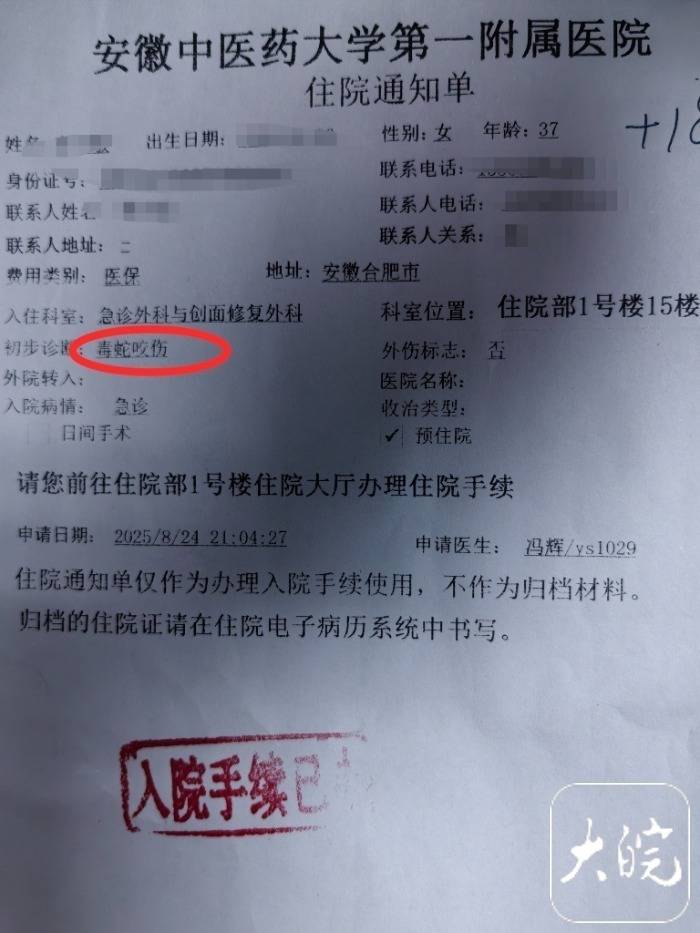 合肥一市民夜爬大蜀山被毒蛇咬傷 公園管理處呼吁：盡量避免夜間登山