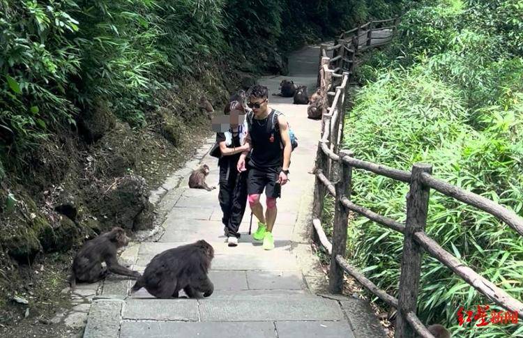 揭秘峨眉山陪爬團隊：已陪爬千名游客九成為女性，不會主動拉背扛抱，主要保障安全