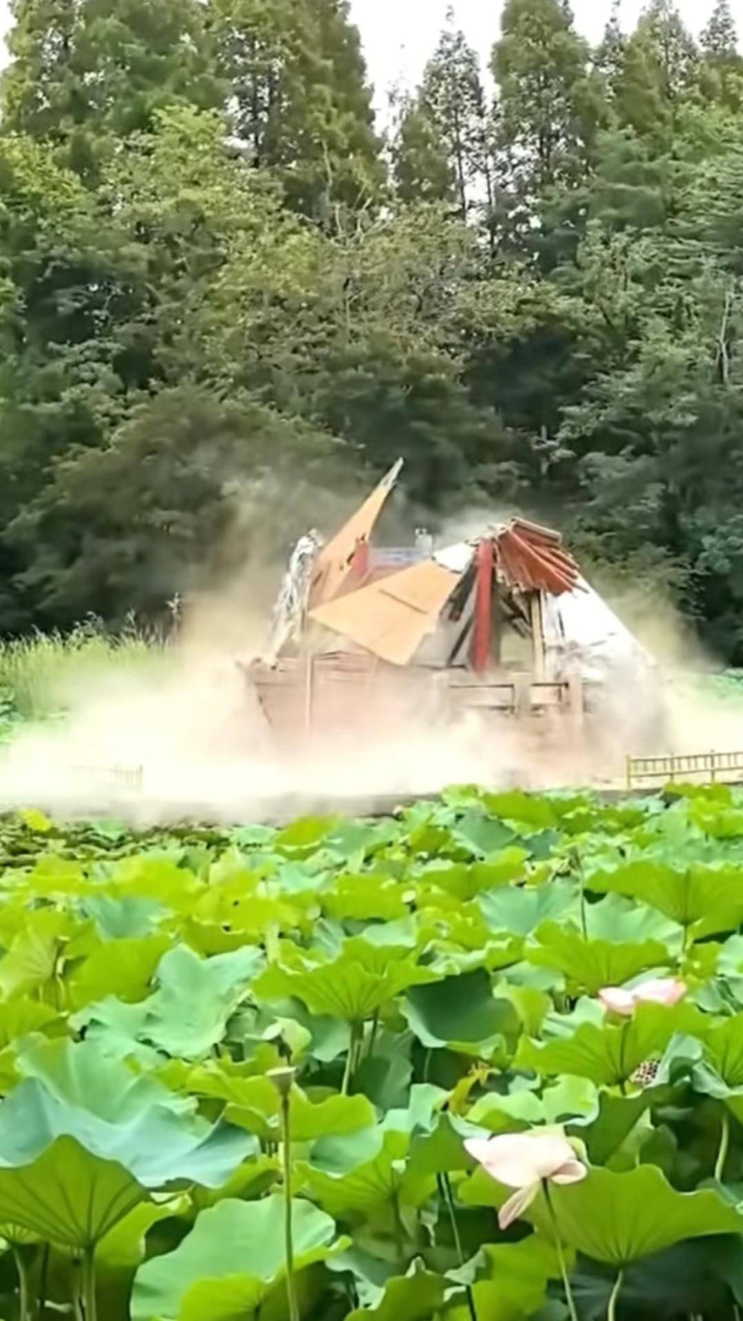 青島中山公園一涼亭突然倒塌：一年前剛完成修繕，園方稱無(wú)傷亡原因待查