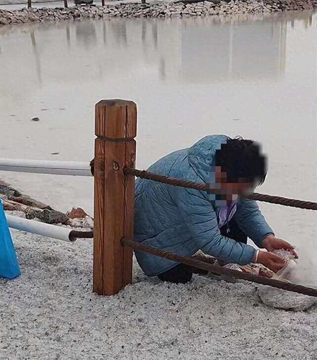 游客將茶卡鹽湖鋪路鹽成袋裝走 工作人員：原則上是不允許拿，可憑票免費(fèi)領(lǐng)